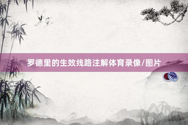 罗德里的生效线路注解体育录像/图片