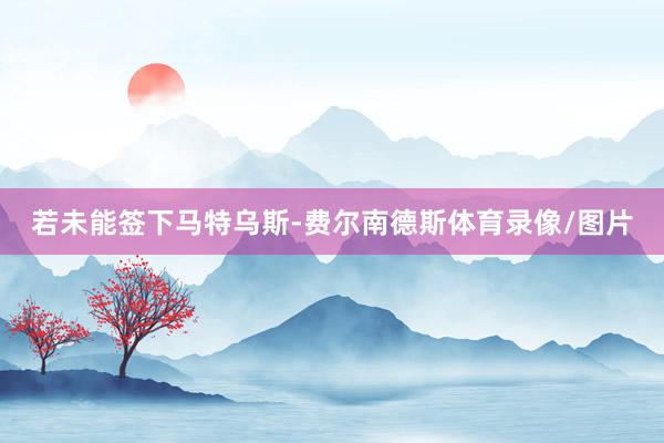 若未能签下马特乌斯-费尔南德斯体育录像/图片