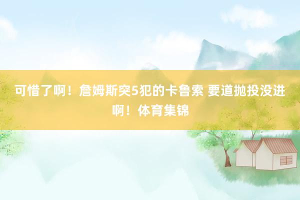 可惜了啊！詹姆斯突5犯的卡鲁索 要道抛投没进啊！体育集锦