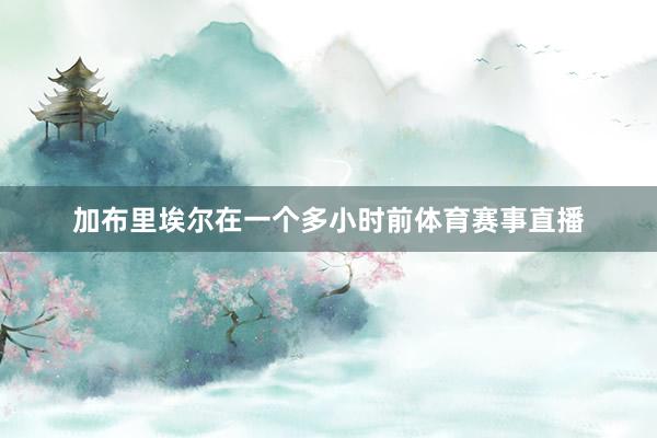 加布里埃尔在一个多小时前体育赛事直播