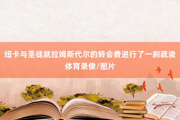 纽卡与圣徒就拉姆斯代尔的转会费进行了一刹疏浚体育录像/图片