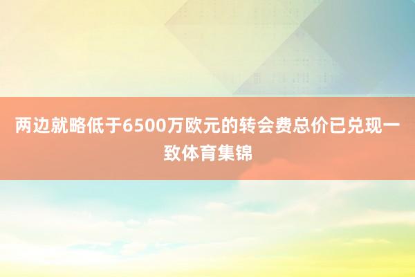 两边就略低于6500万欧元的转会费总价已兑现一致体育集锦